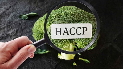 HACCP Certification Gastronomy Degree