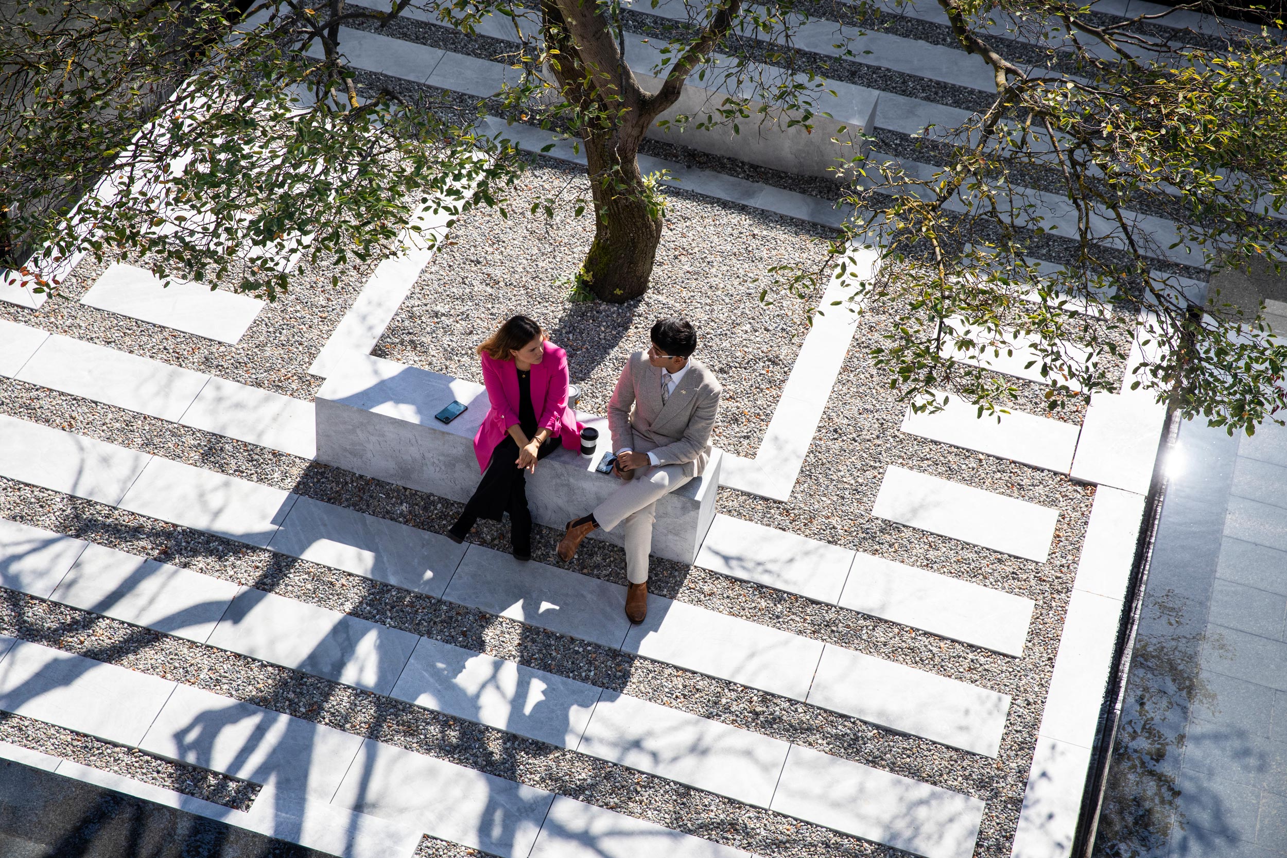 ehl-students-tree-entrance